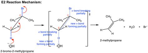 8.1 E2 Reactions – Organic Chemistry I