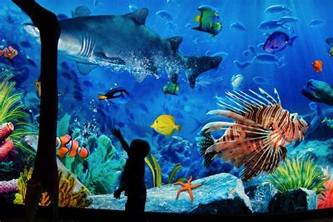 Sea Life Bangkok Ocean World (E-Ticket Up to 46% Discount ...