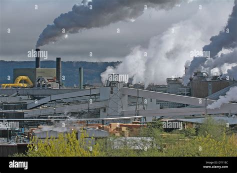 Pulp Mill Pollution High Resolution Stock Photography and Images - Alamy