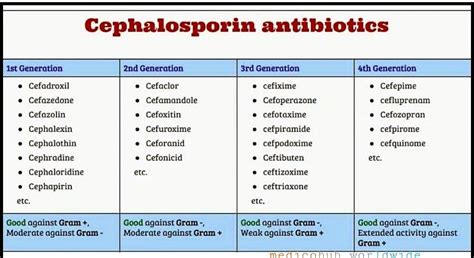 Cephalosporins Antibiotics - MEDizzy