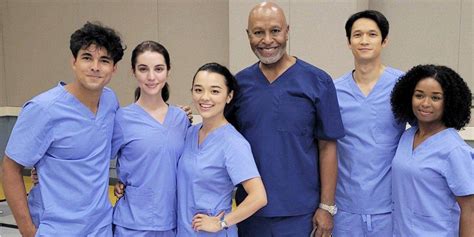 Conheça o novo elenco da 19ª temporada de Grey's Anatomy - Critical Hits