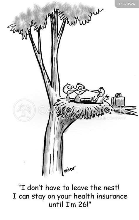 Empty Nest Cartoons and Comics - funny pictures from CartoonStock