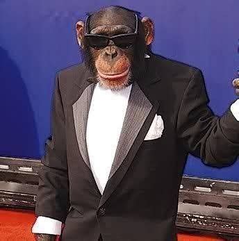 mono facha | Monkey pictures, Monkeys funny, Pet monkey