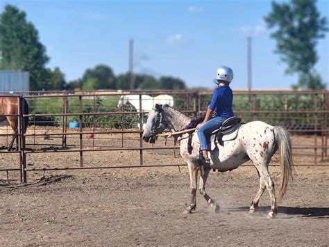 Horseback Riding Lessons for Kids • RUN WILD MY CHILD