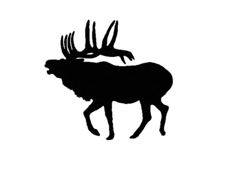 Elk-hunting GIFs - Get the best GIF on GIPHY