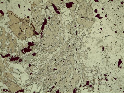 Staurolite | NOVA Mineralogy