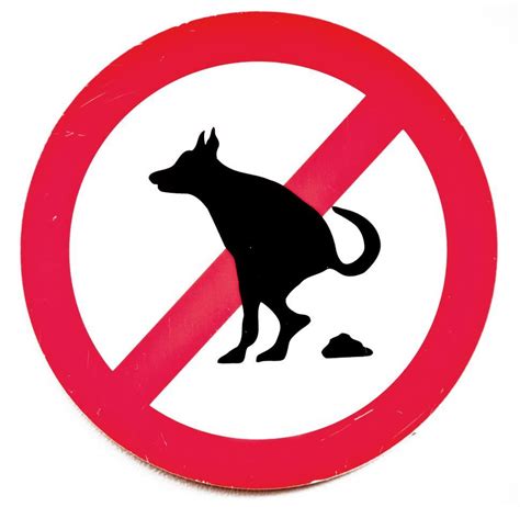 No Dog Poop Sign Sticker TenStickers, 52% OFF | techuda.com