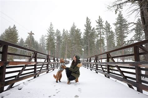 Dog-friendly Winter Getaway to South Lake Tahoe — HELLORUBYDOODLE