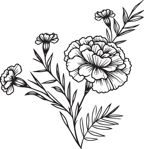 , simple marigold line drawing, marigold flower tattoo drawing, traditional marigold tattoo ...