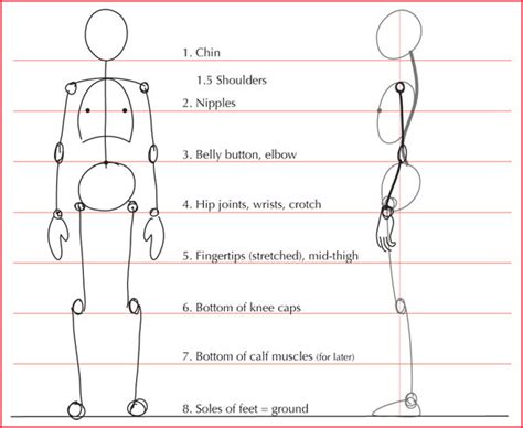 Figure Proportions Resources - Visual Art