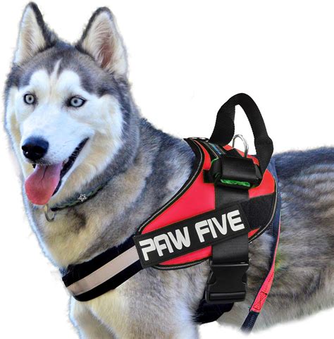 Paw Five CORE-1 Reflective Dog Harness with Built-in Waste Bag ...