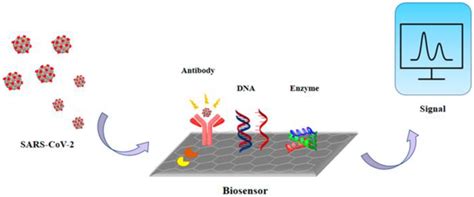 Principle of plasmonic biosensors. Reproduced with permission from ref ...