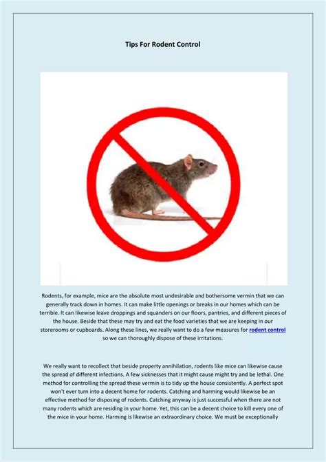 PPT - Tips For Rodent Control PowerPoint Presentation, free download - ID:11371673