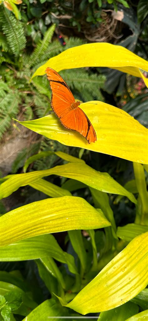 Franklin Park Conservatory – Ruth E. Hendricks Photography