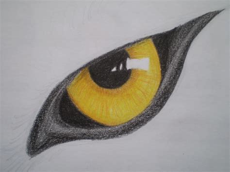 Wolf's eye by MustaVuona on DeviantArt