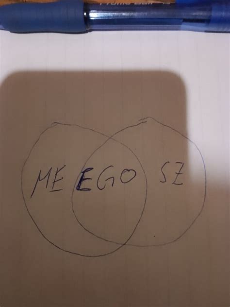 My me,ego and schizophrenia - Creativity - Schizophrenia.com