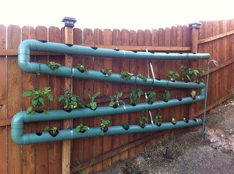 My DIY aquaponics system. So far so good. 40Ft of PVC and 36 spots for plants. | Aquaponics ...