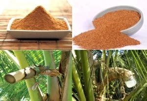 Coconut Sap Sugar Production - Franchise, Business and Entrepreneur