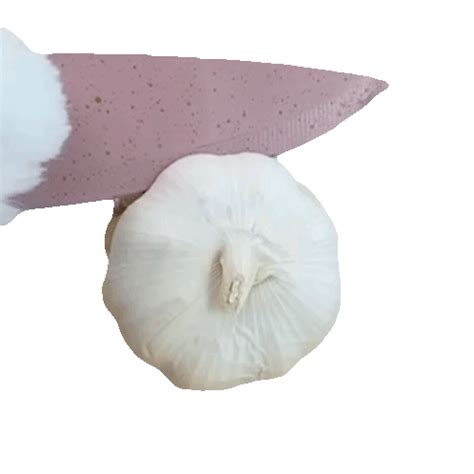 Slicing A Garlic That Little Puff Sticker - Slicing a garlic That ...