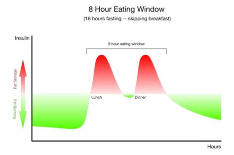 The 16/8 insulin graph. : r/intermittentfasting