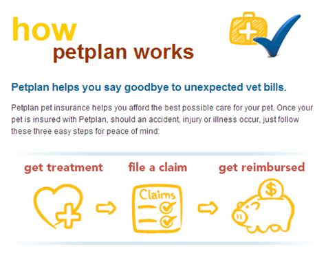 How does pet insurance work? Pet Health Insurance, Best Pet Insurance, Healthy Puppy, Healthy ...