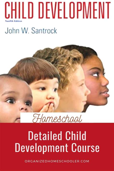 Detailed Child Development Course for High School ~ The Organized Homeschooler