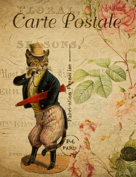 Cat Dressed Postcard Vintage Free Stock Photo - Public Domain Pictures