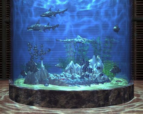 Tải ngay 1000+ Aquarium background anime chất lượng cao