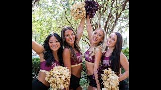 FSU Golden Girls | 2015 Florida State Seminoles ACC College Football by ...