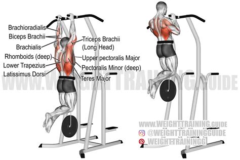 Weighted close neutral-grip pull-up exercise instructions and video