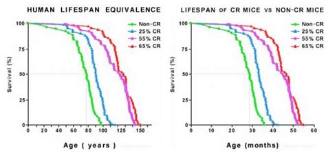 Benefits of Calorie Restriction | CR Vitality