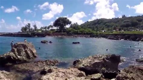 Sharks Cove, North Shore Oahu Snorkeling 8/3/15 - YouTube