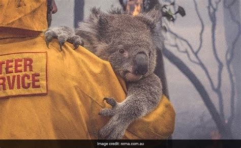 Heartbreaking Pics Capture Devastation Caused By Australia Bushfires