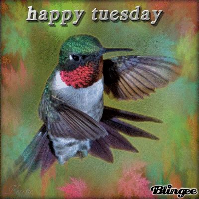 Happy Tuesday to all my Friends Picture #126654294 | Blingee.com