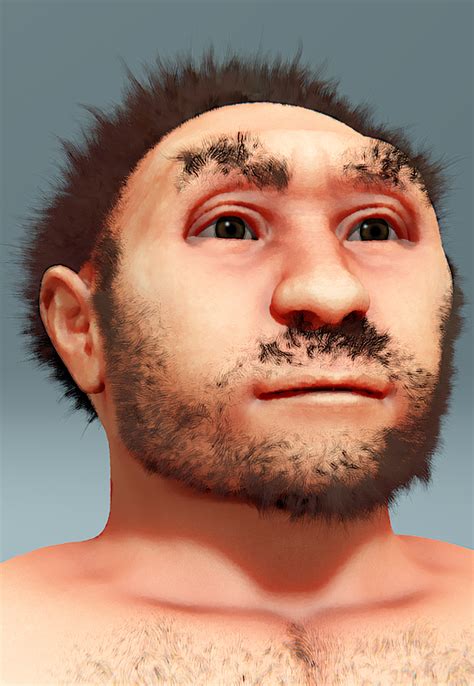 File:Homo erectus pekinensis.png - Wikimedia Commons