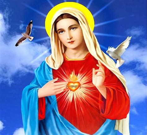 free download | Sacred Heart of Mary, christ, jesus, virgin, peace ...