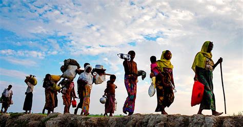 Look after Rohingya – The Island