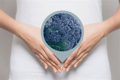 The Vital Role Lactobacillus Reuteri Plays In Your (and Your Babies) Health | Prana Thrive