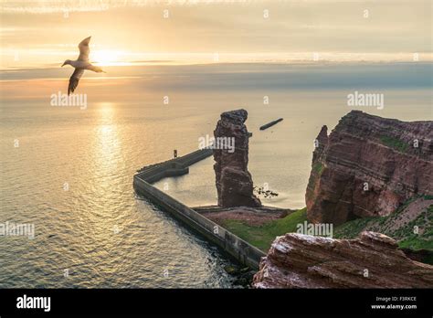 Rock Formation "Lange Anna" at sunset, Helgoland, Schleswig-Holstein ...