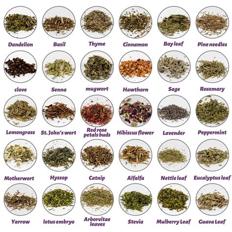 Witchcraft Supplies Herbs - 30 Bottles Dried Herbs Kit for Beginners ...