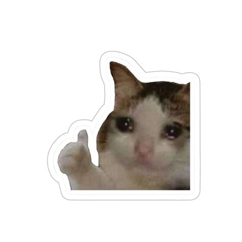 Crying Cat Thumbs up Vinyl Sticker, Funny Sticker, Cat Sticker, Meme Sticker - Etsy