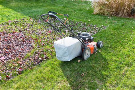 Mulching Mowers: How They Work and Why to Own One