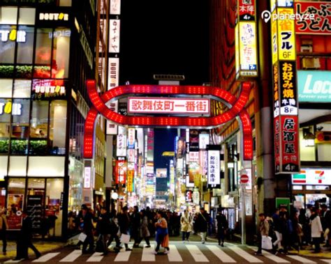 Tokyo Neon Lights: 5 Best Spots to See Tokyo at Night | GoWithGuide