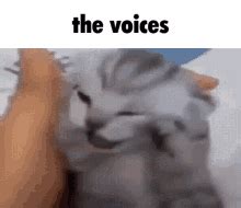 The Voices Meme GIF – The Voices Meme Cat – Upptäck och dela giffar