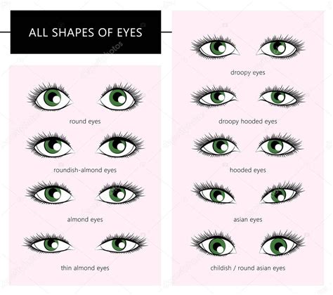 Shapes of eyes — Stock Vector © Lazuin.gmail.com #161982242