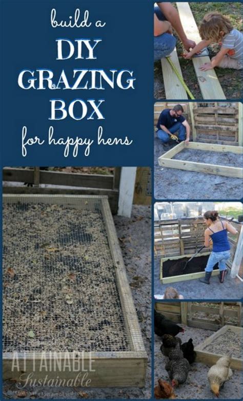 DIY Grazing Boxes - Homestead & Survival