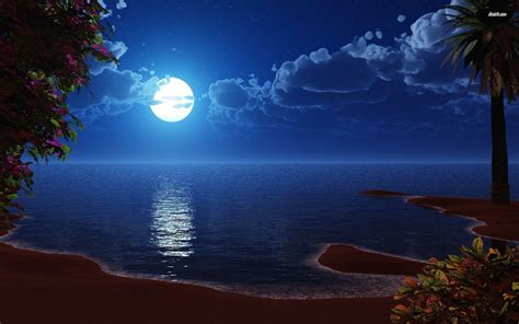 Beach Moon Wallpapers - Top Free Beach Moon Backgrounds - WallpaperAccess