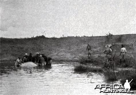 Theodore Teddy Roosevelt African Safari & Scientific Expedition ...