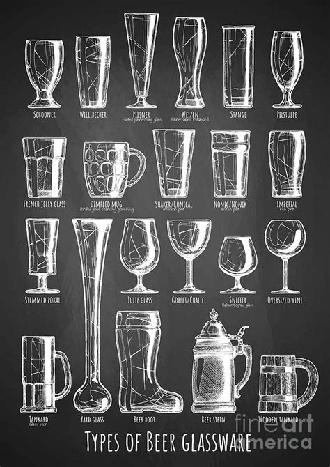 Types Of Beer Glassware #1 Drawing by Alexander Babich - Fine Art America