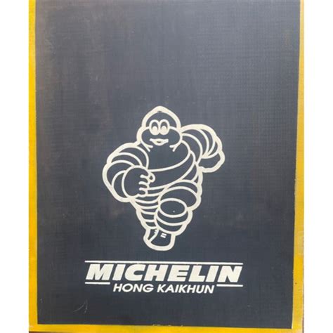 Truck Fenders, Tire Fenders Michelin logo Trucks With Stainless Steel Cladding And Stainless ...